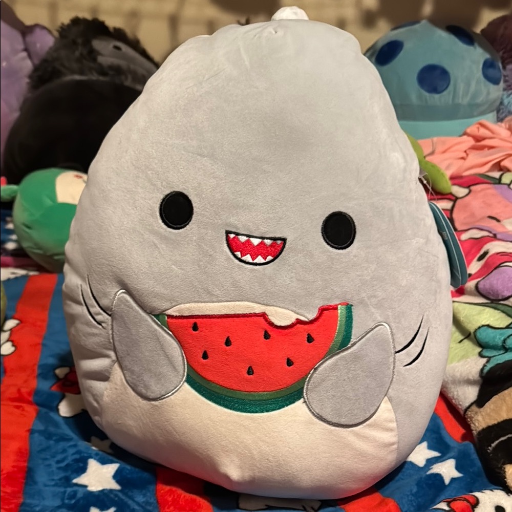 Gordon the shark eating watermelon squishmallow NWT